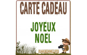 
			                        			Carte Cadeau JOYEUX NOEL